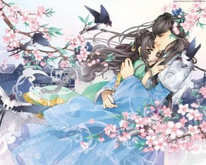 pr九尾狐正能量视频在线观看免费